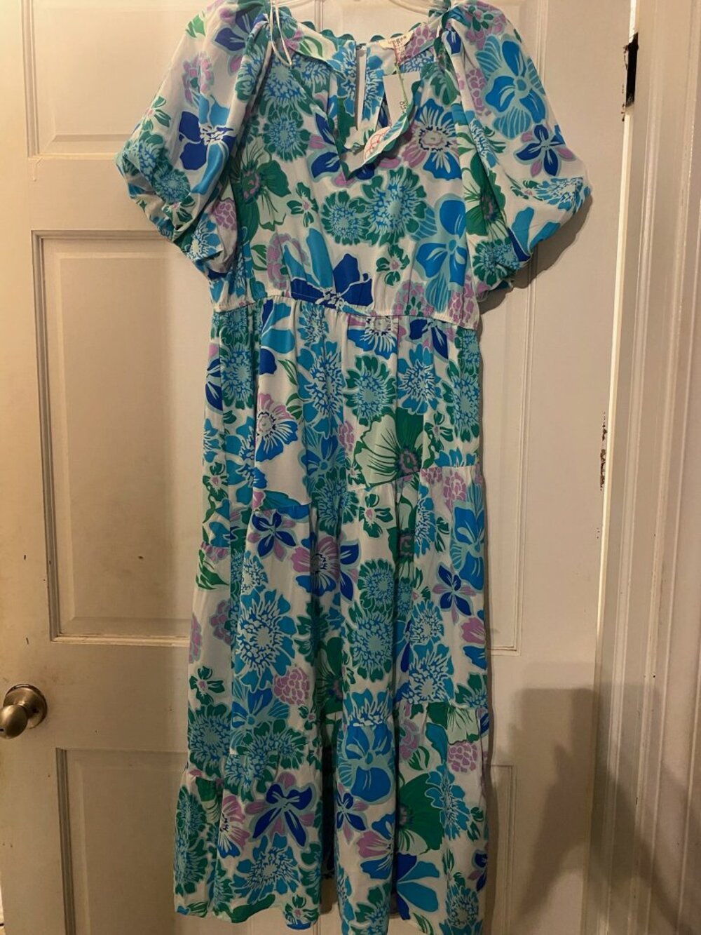 Umgee size large, nwt, blue floral dress